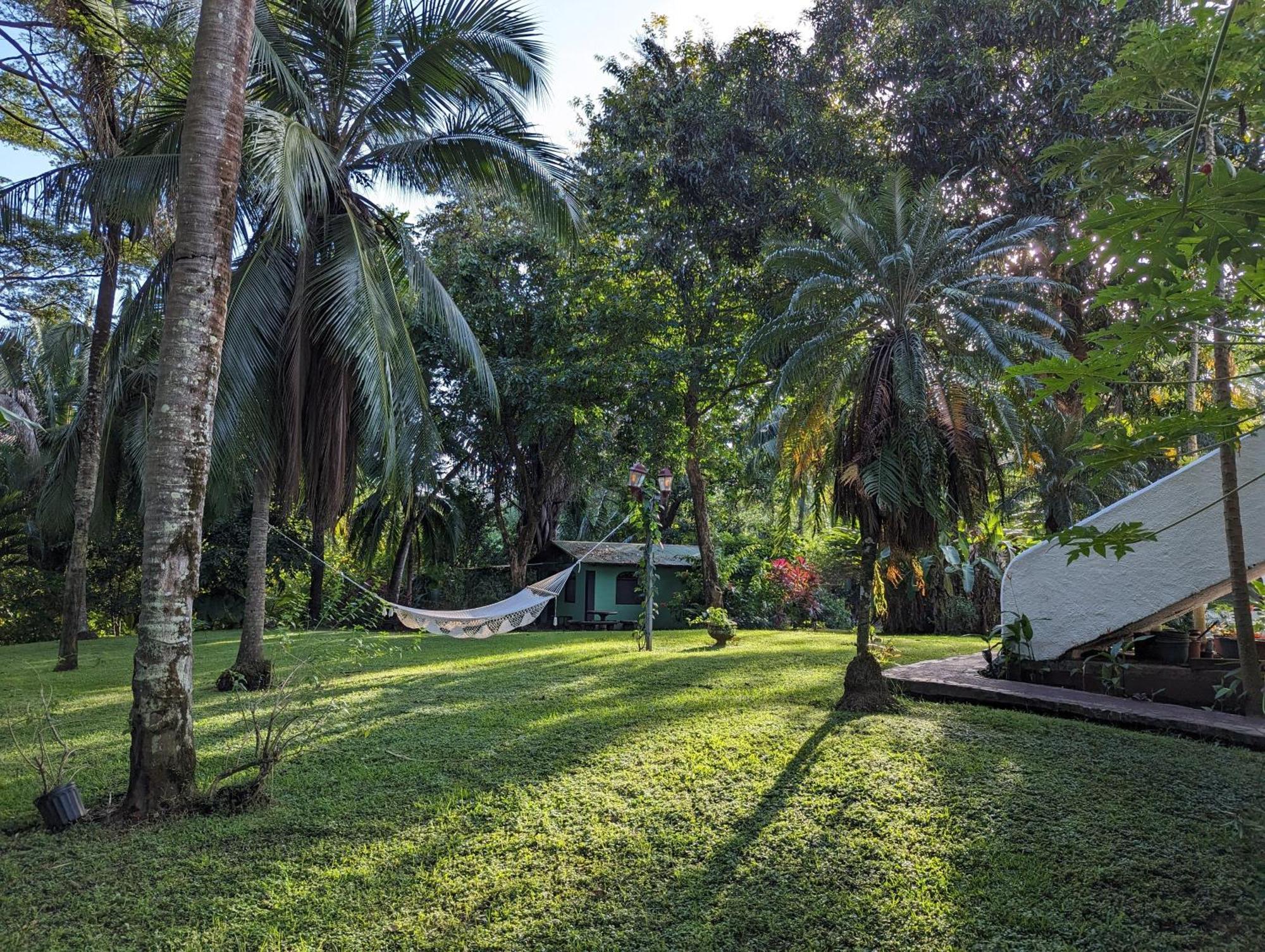 Spirit Of Jungle Lodge Sámara Dış mekan fotoğraf